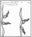 说明: figure